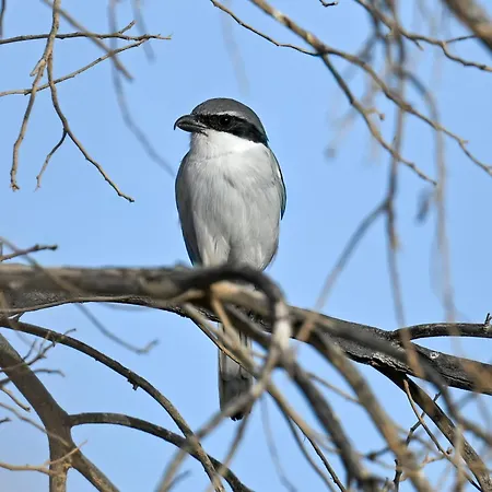 La Estrellas Дом отдыха