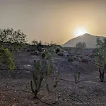 La Estrellas Tarajalejo
